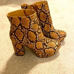 Steve madden snakeskin booties